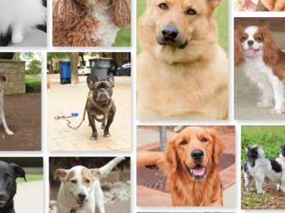 State Thomas Strutters